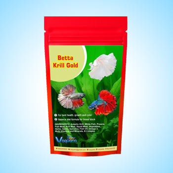 Special fish food for Betta fish