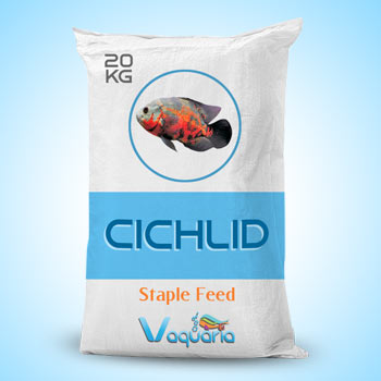 Cichlid Staple Feed Indian Brand