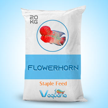 Flowrhorn Staple Feed Indian Brand