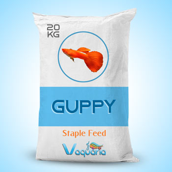 Guppy Staple Feed Indian Brand